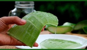 روش های خانگی درمان هموروئید داخلی